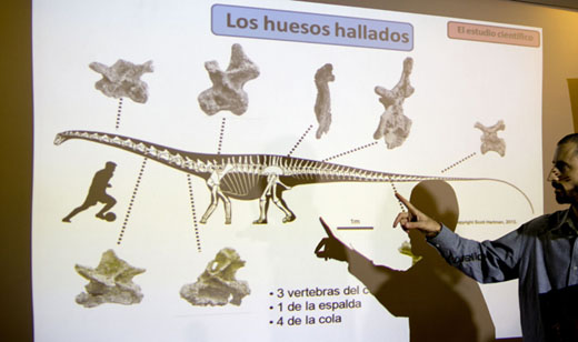 biggestdinosau... 8